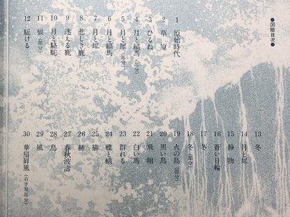 Image #16