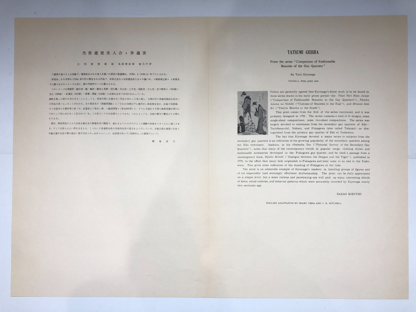 Image #12