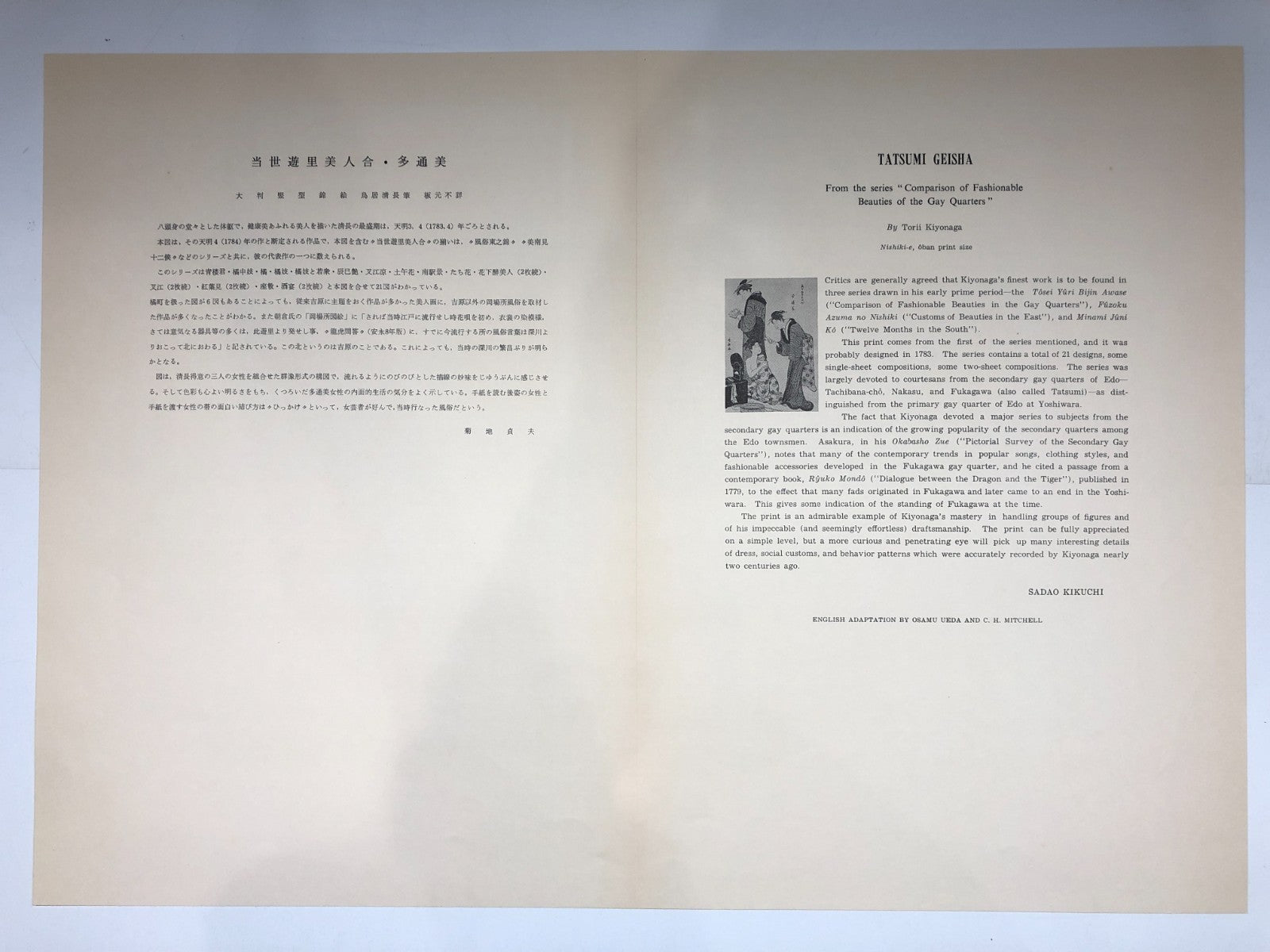 Image #12