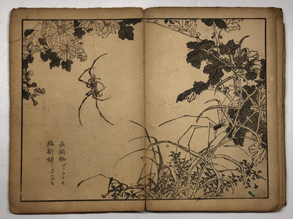 Image #17