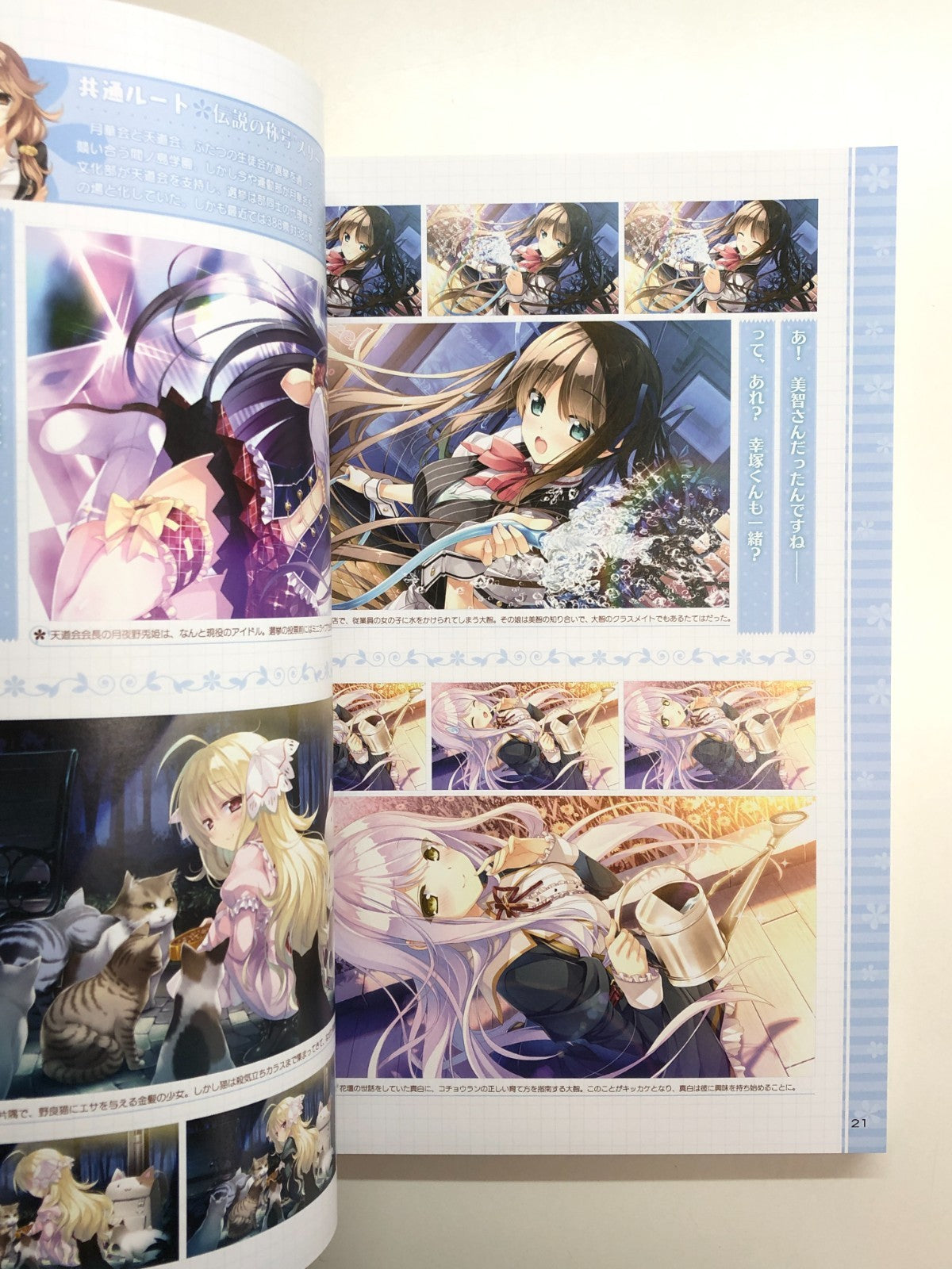 Image #7