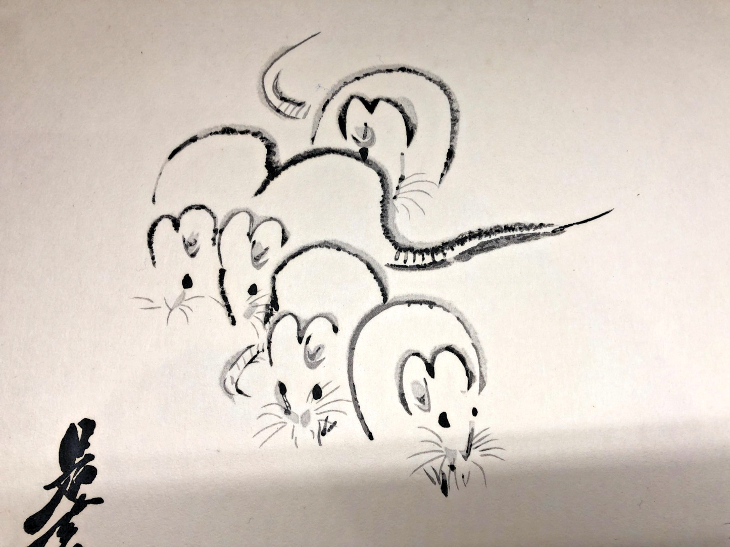 Image #8