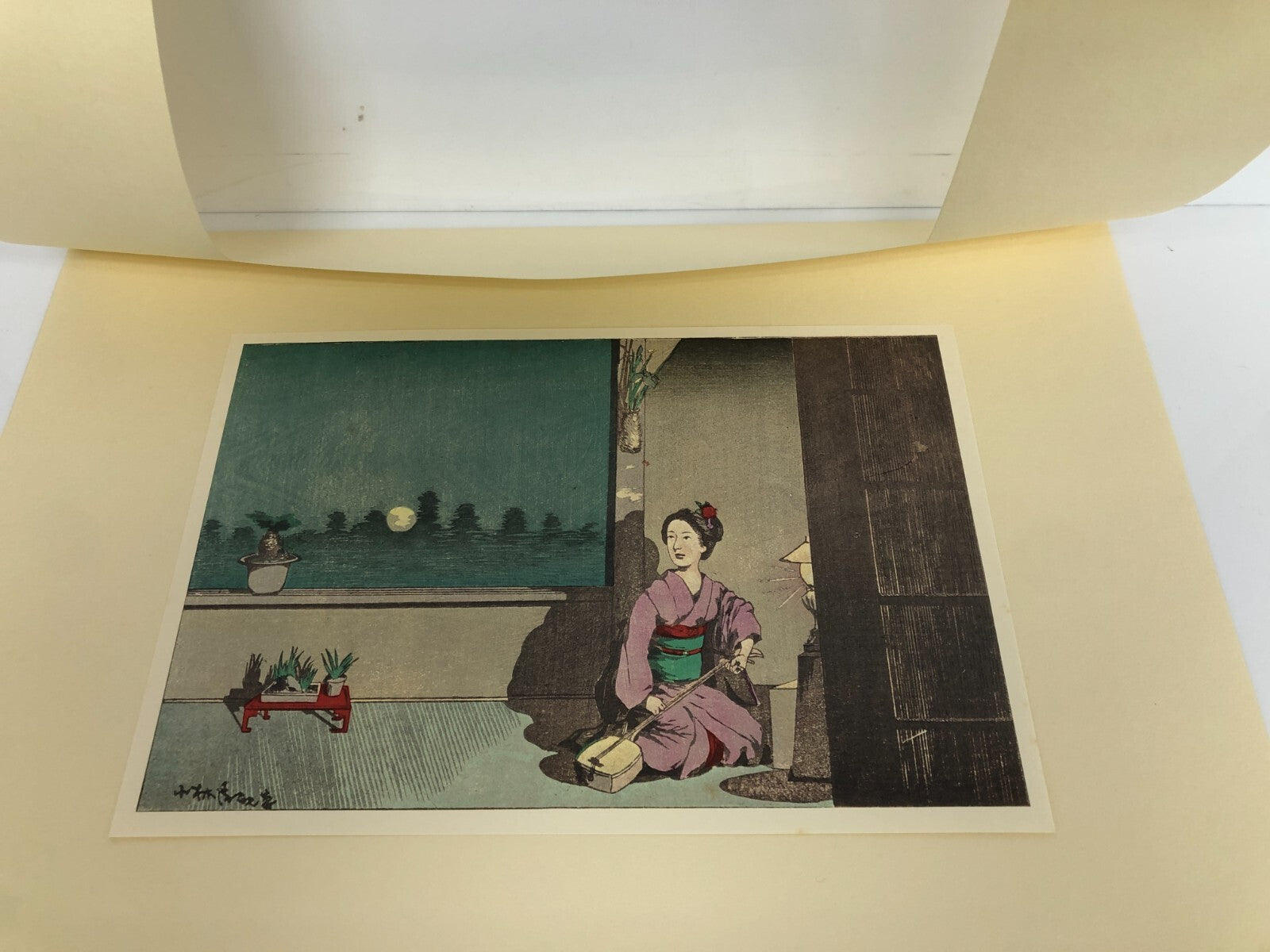 Image #11