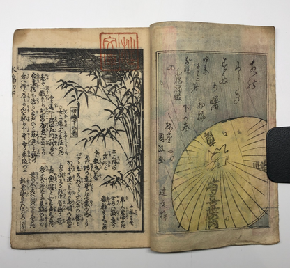 Image #12