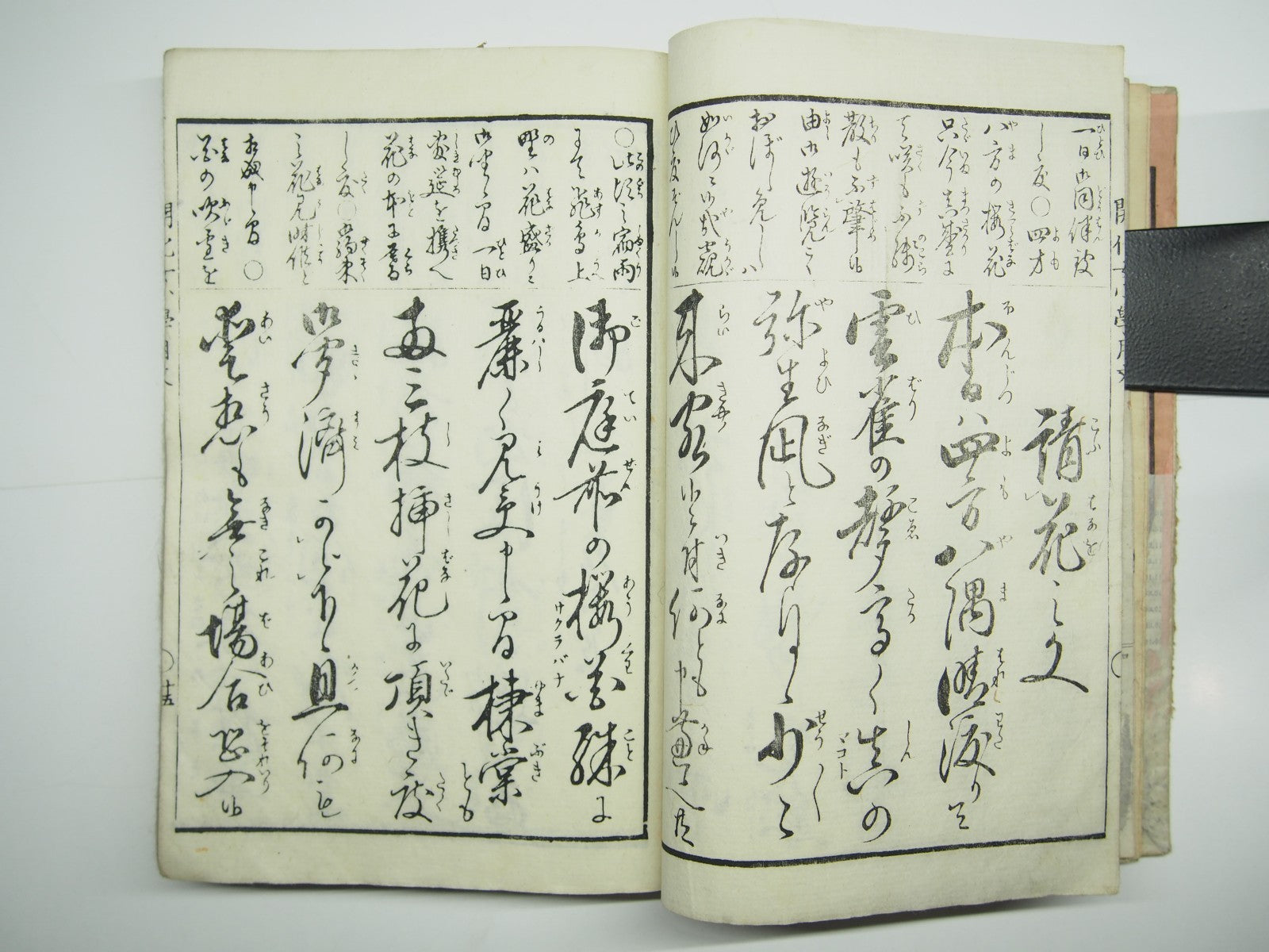 Image #7