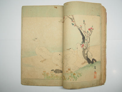 Image #12