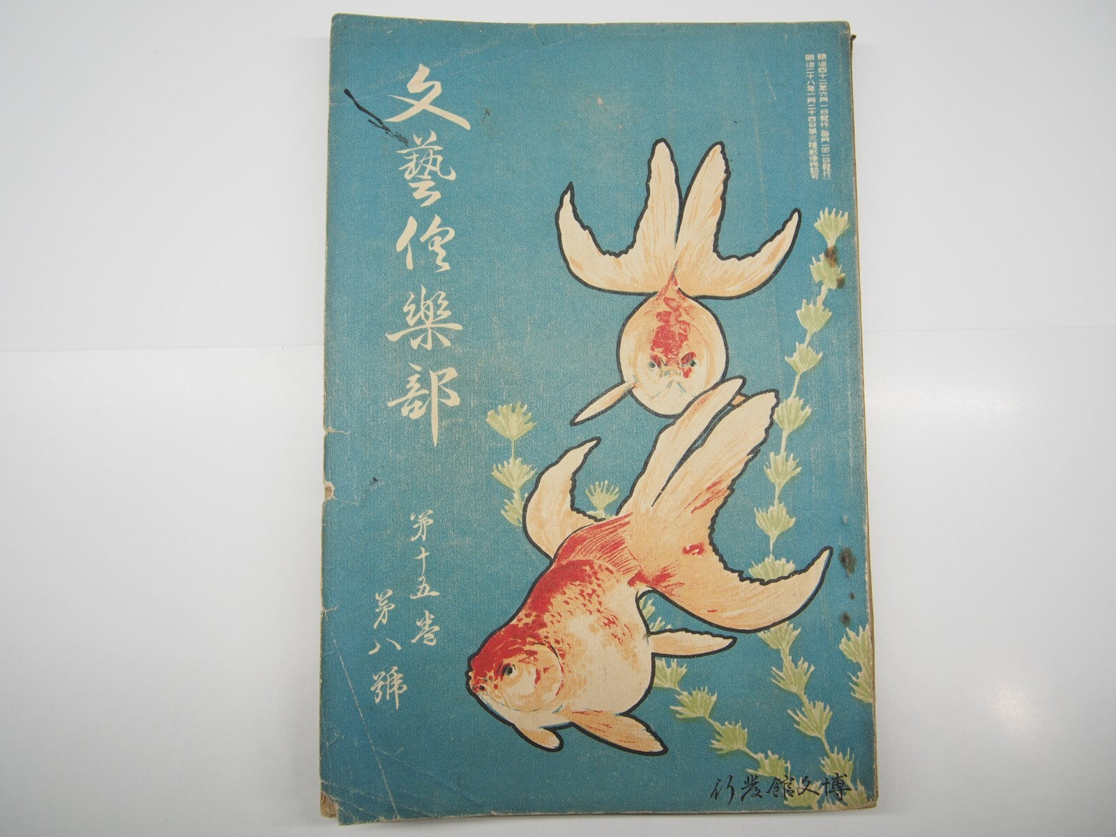 Image #6
