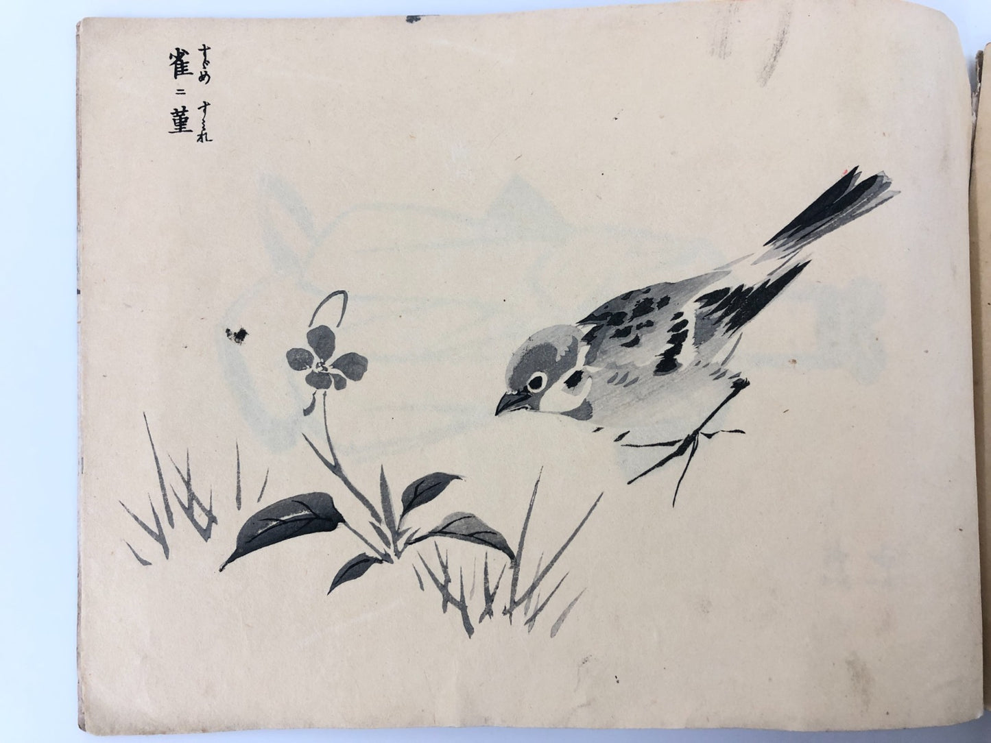 Image #12