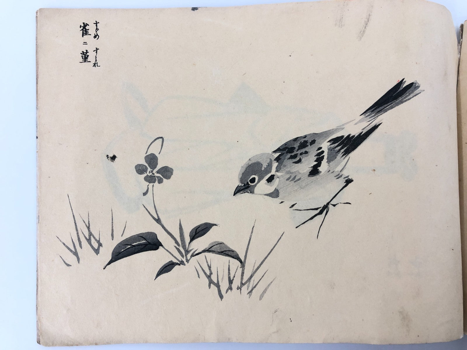 Image #12