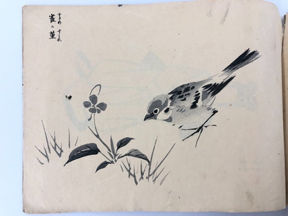 Image #12