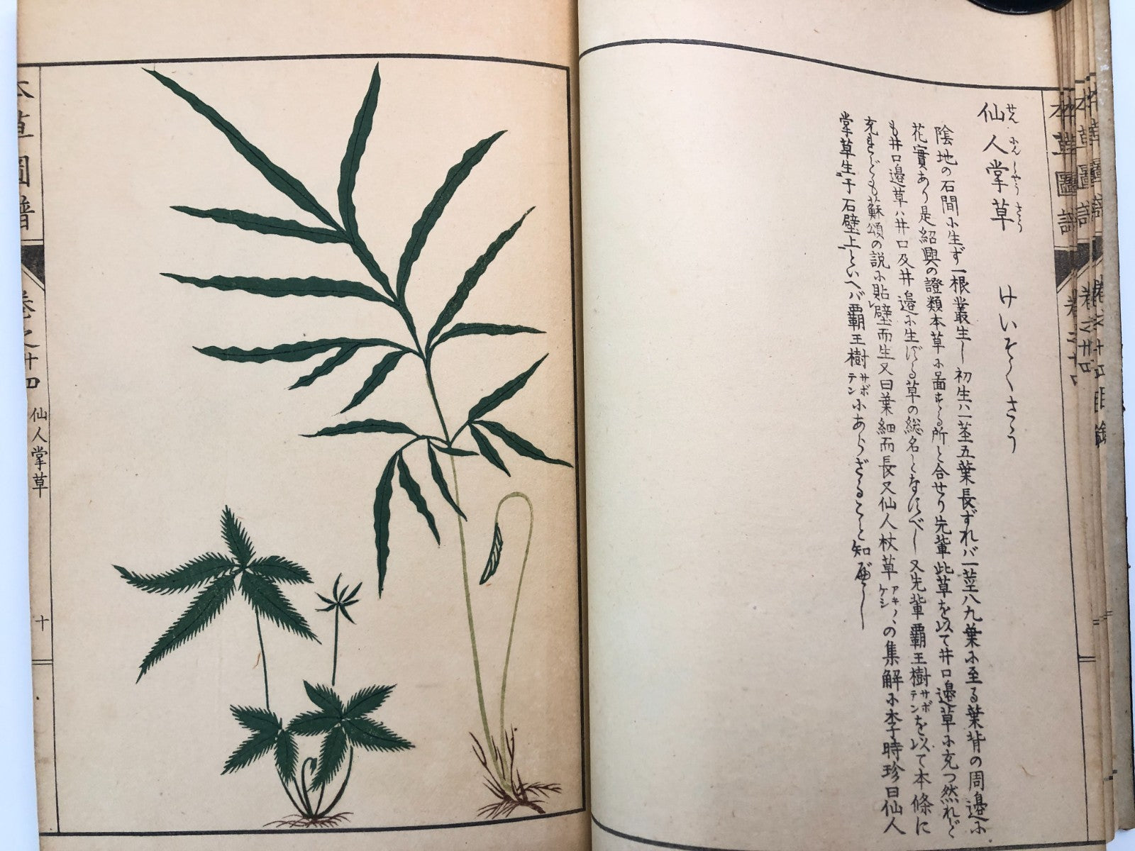 Image #16