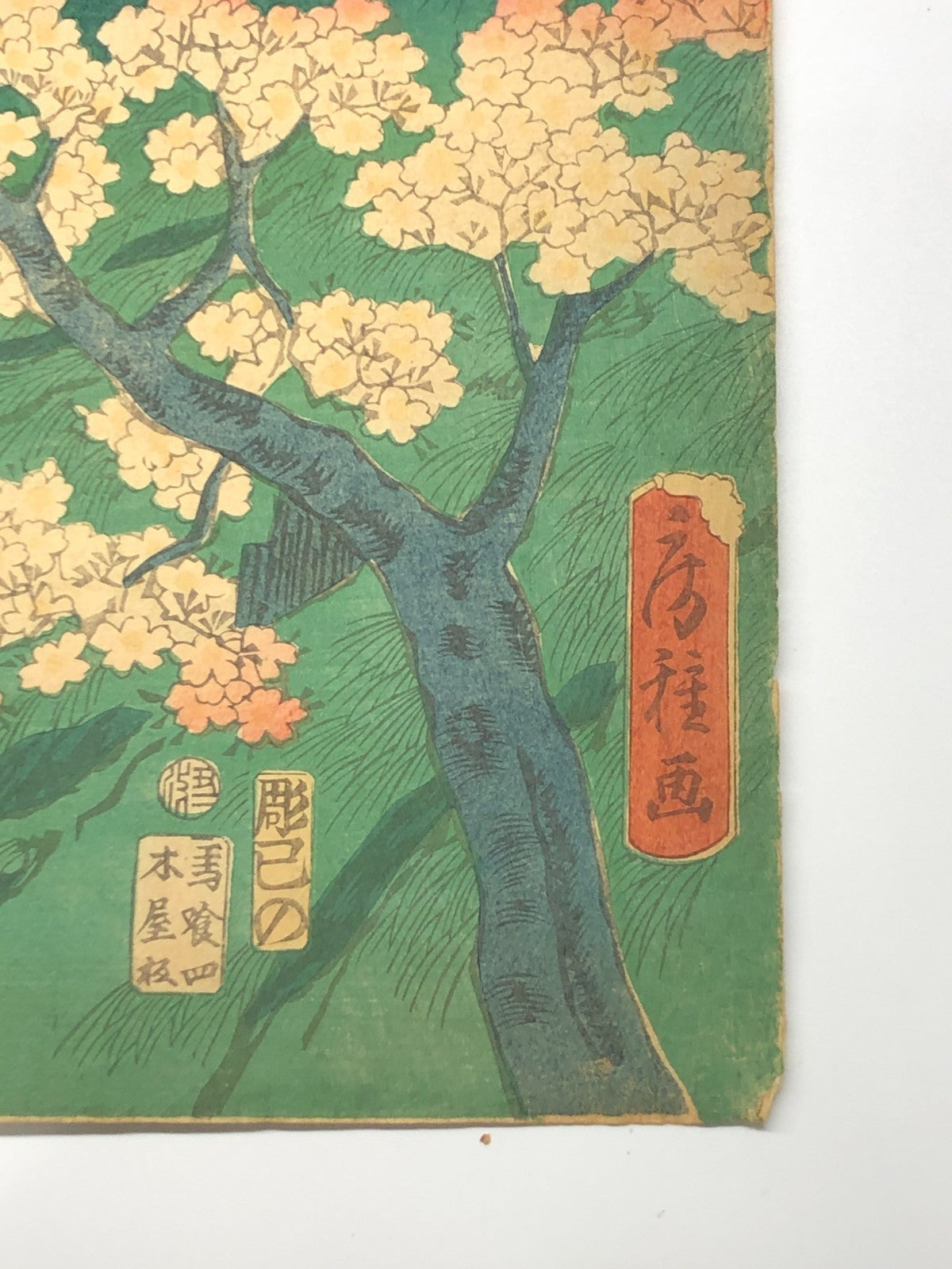 Image #7