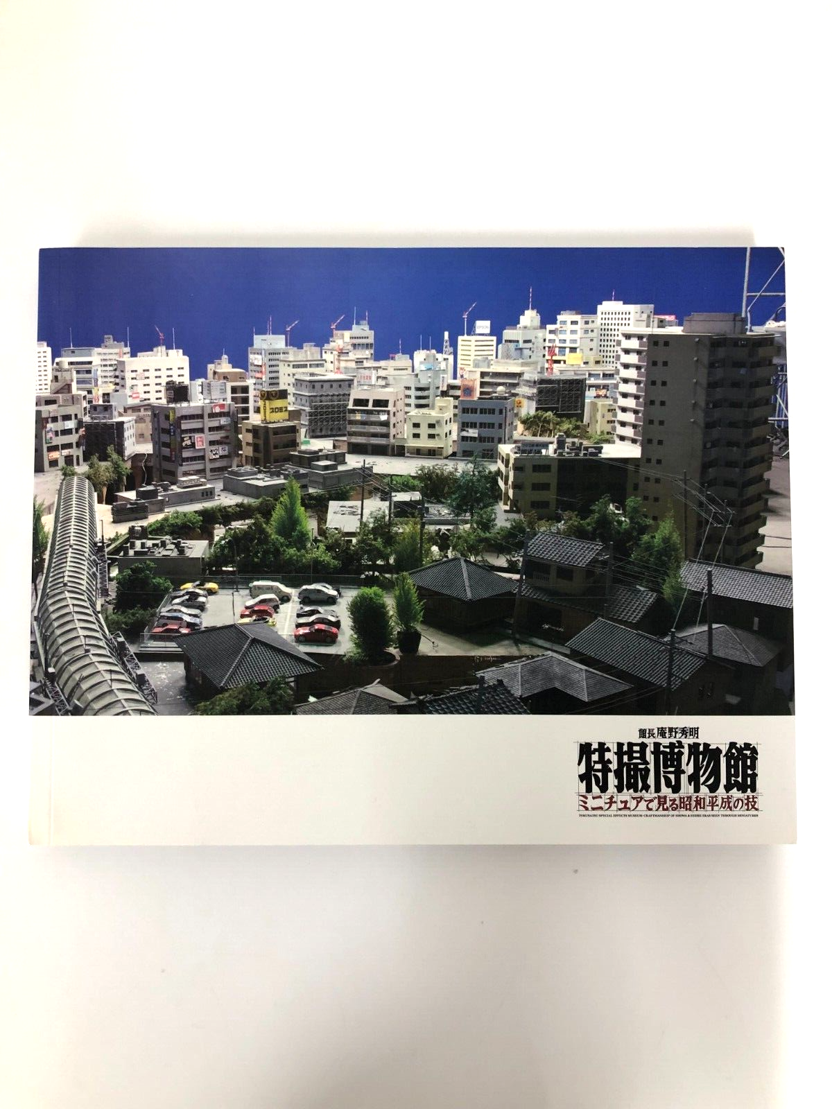 Image #1
