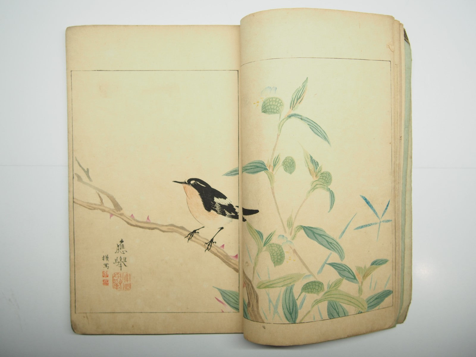 Image #6
