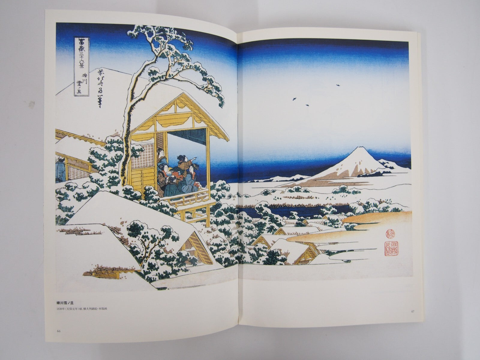 Image #4
