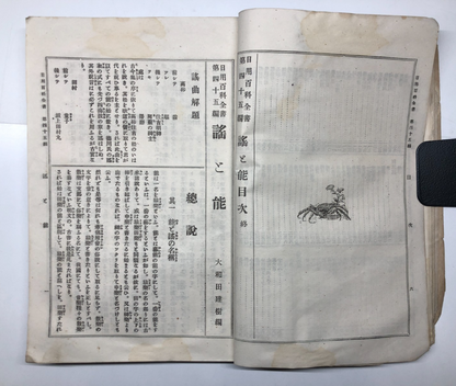 Image #12