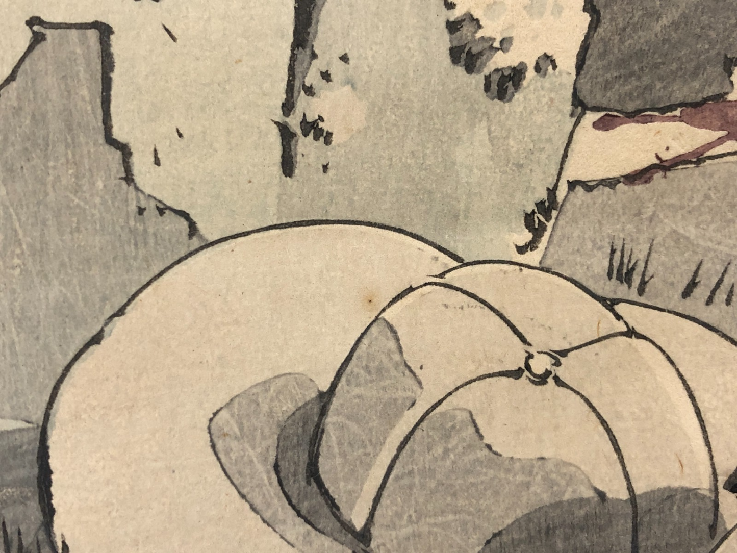 Image #12