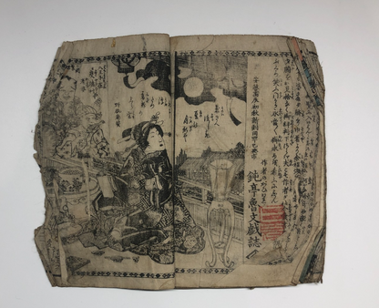 Image #12