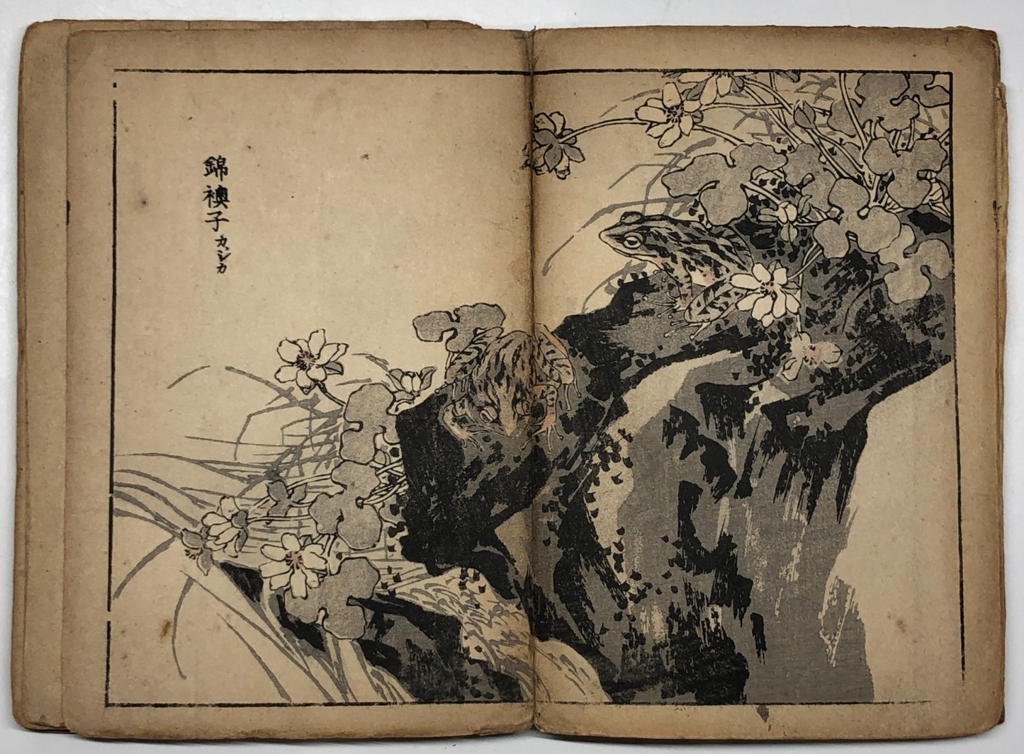 Image #13