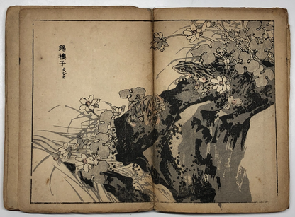 Image #13