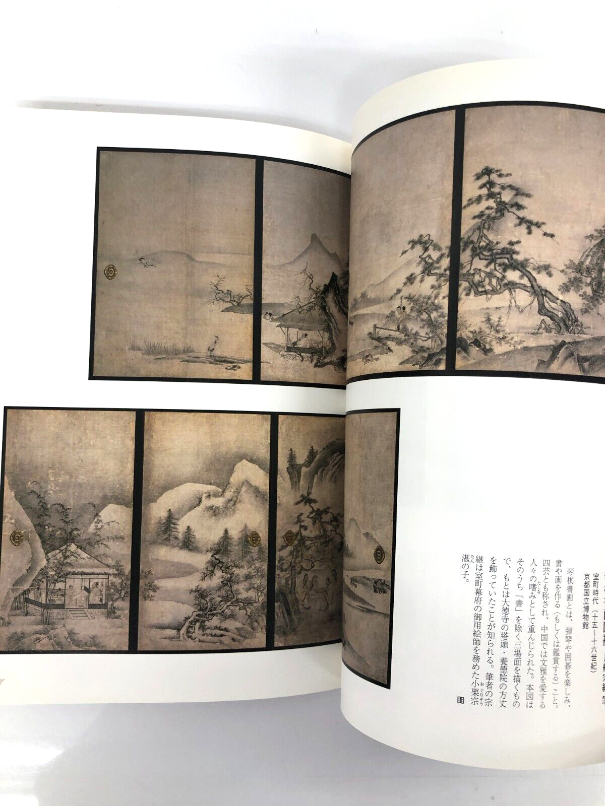 Image #4