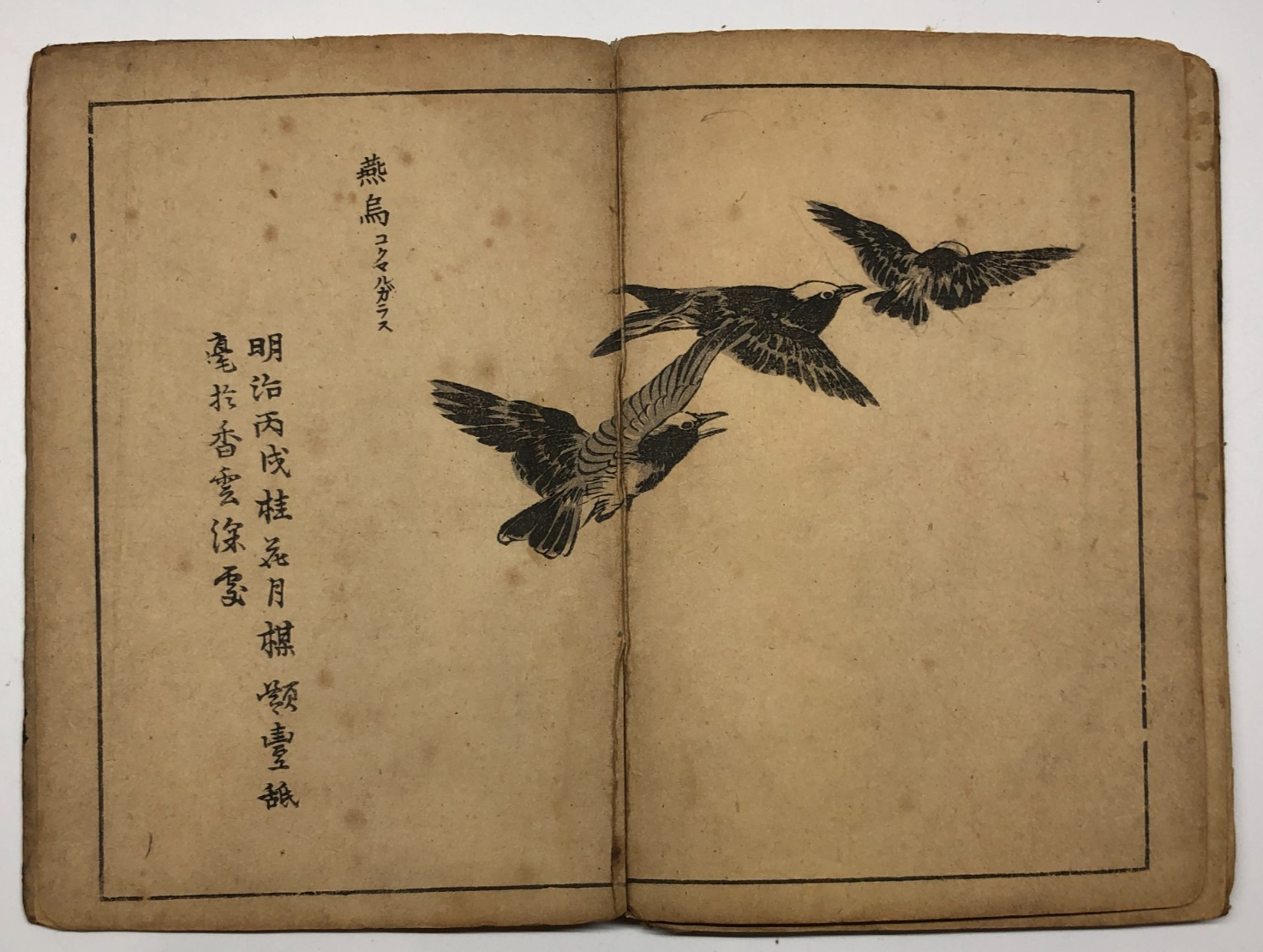 Image #18