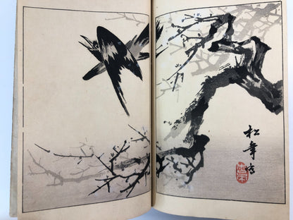 Image #18
