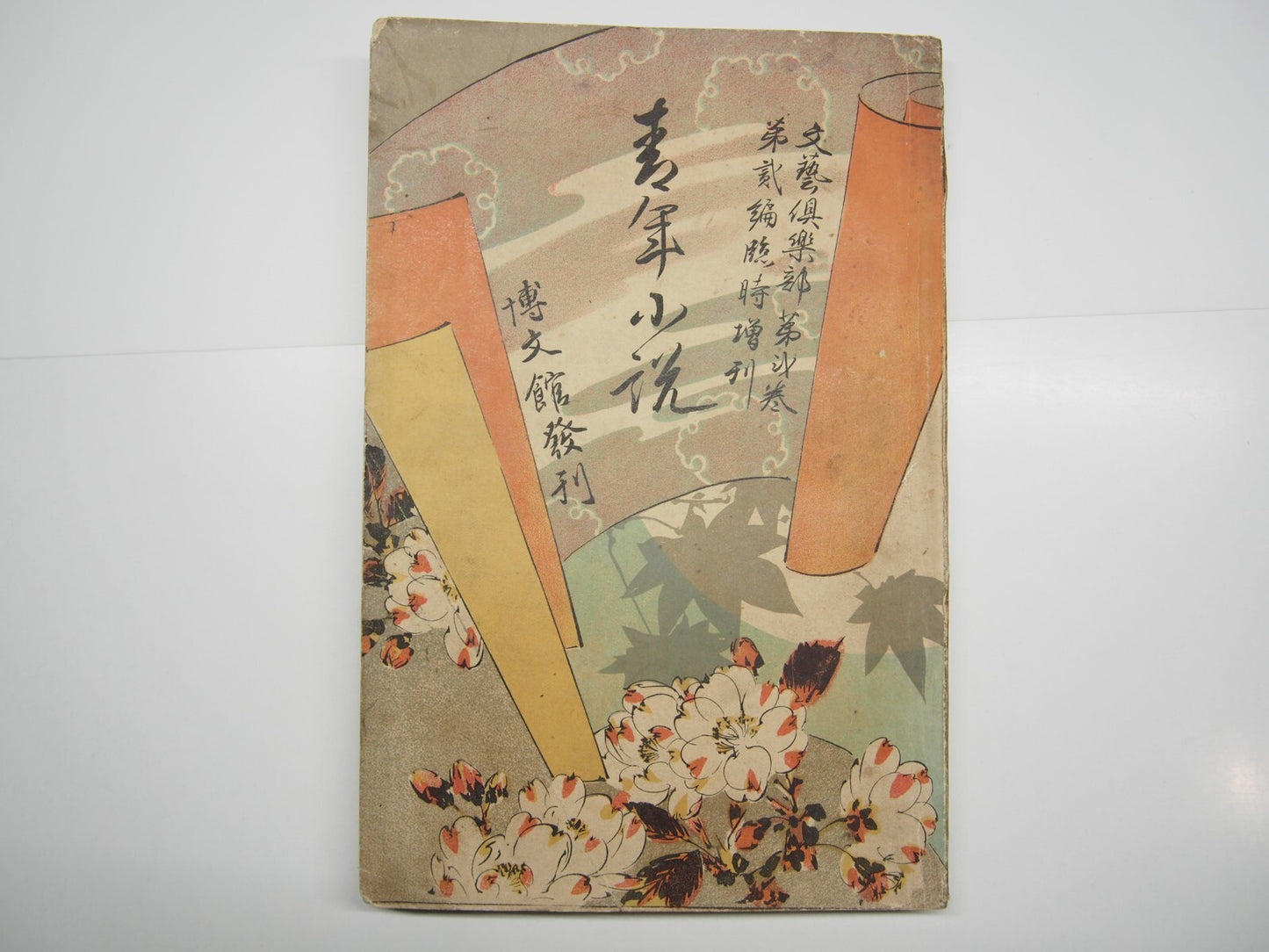 Image #2