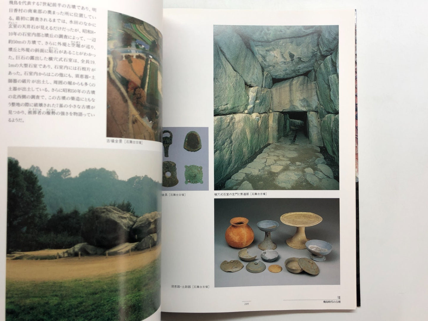 Image #12