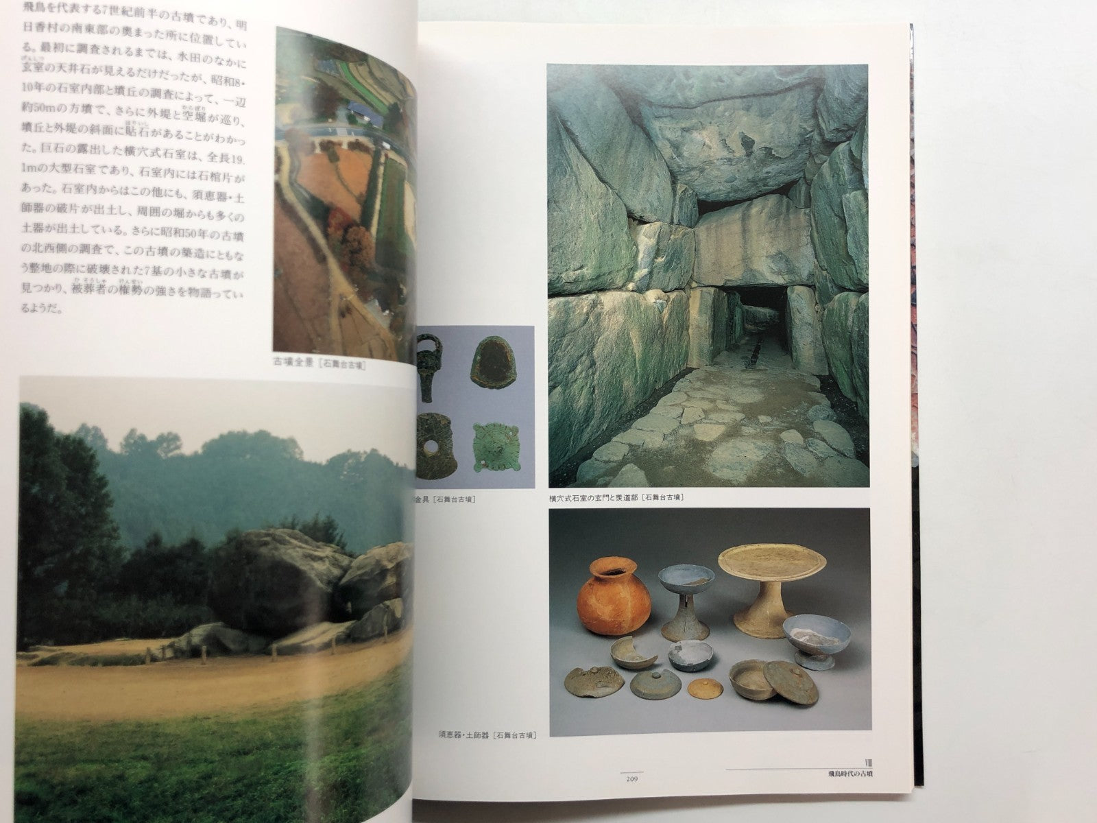 Image #12