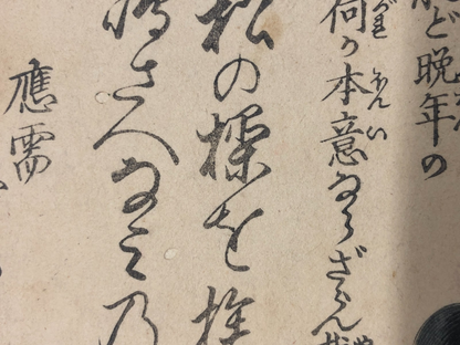 Image #15