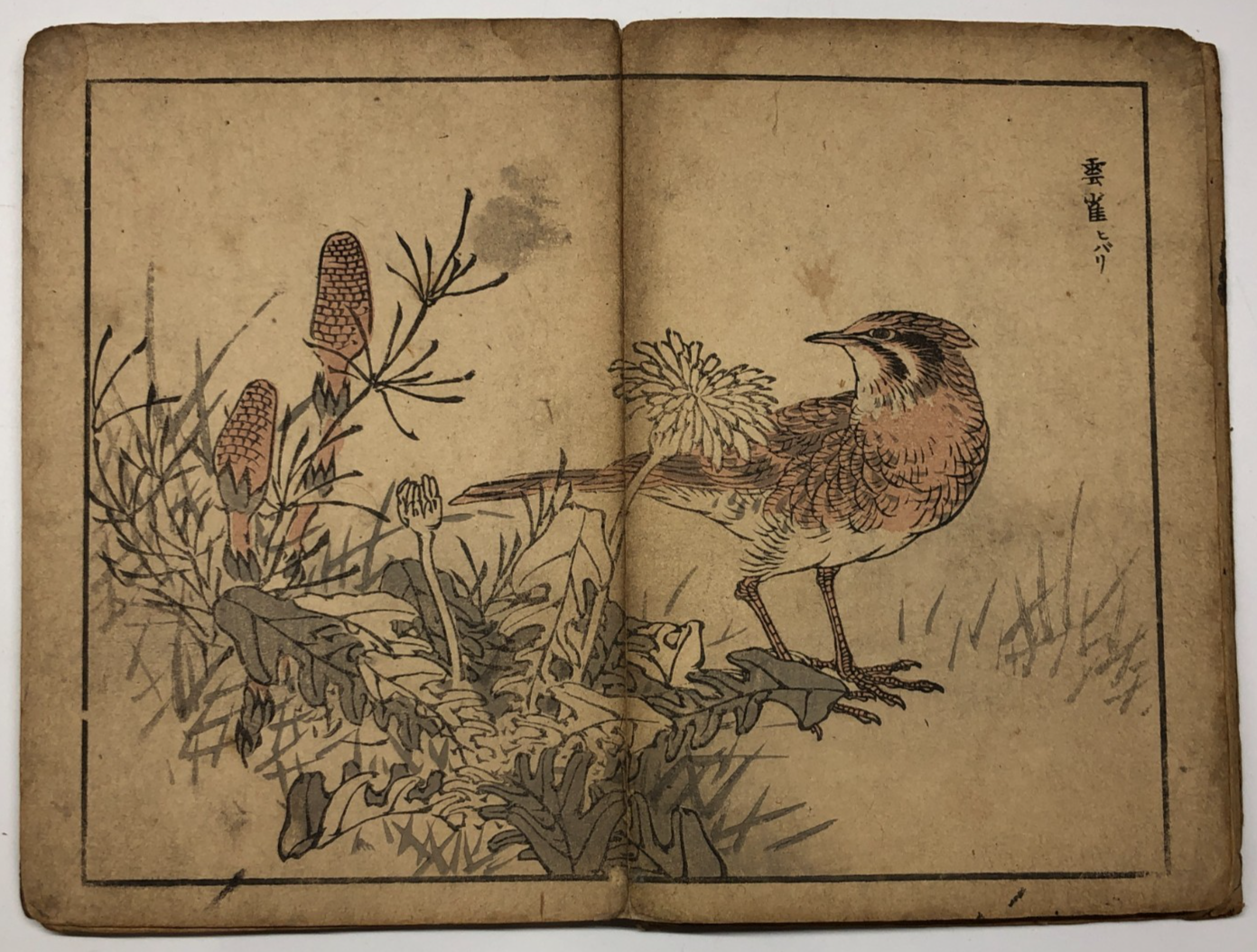 Image #10