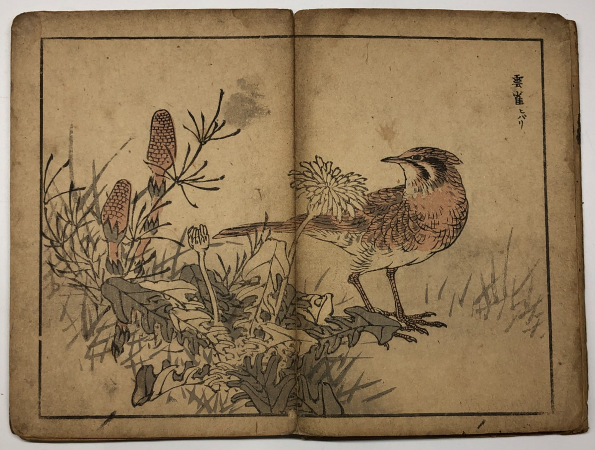 Image #10
