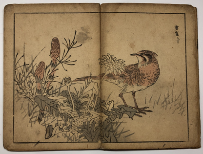Image #10
