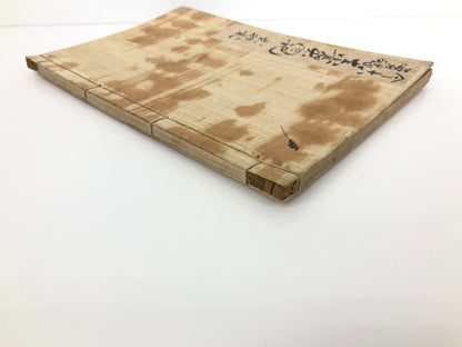 Image #15