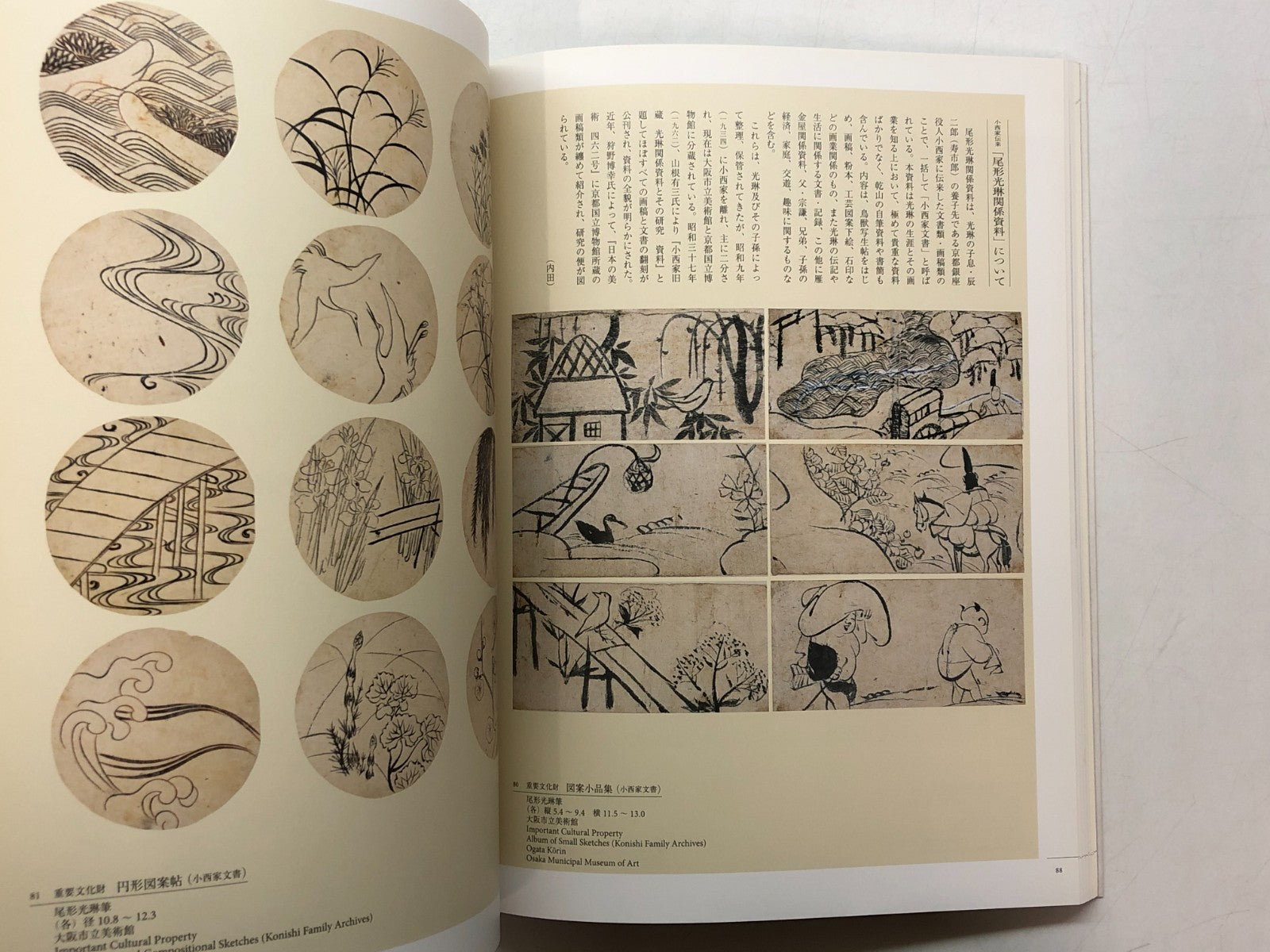 Image #8