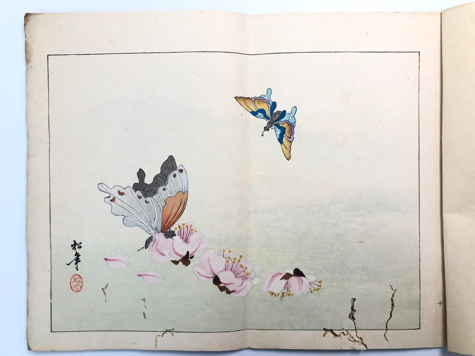 Image #17