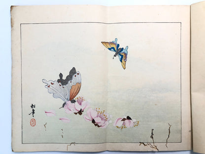 Image #17