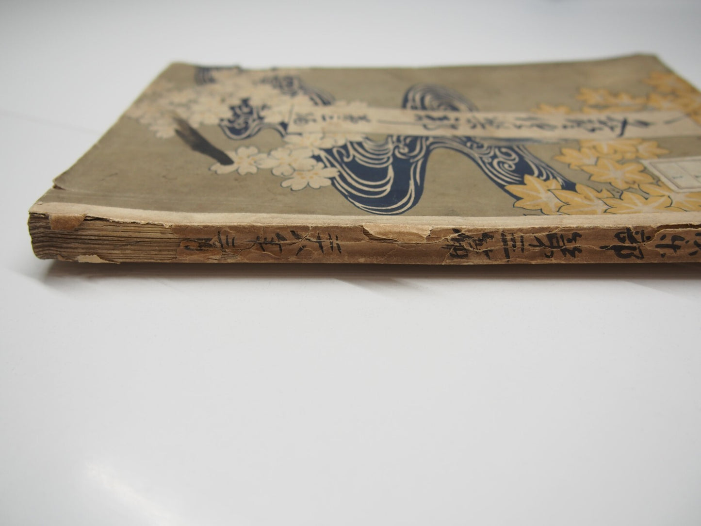 Image #4