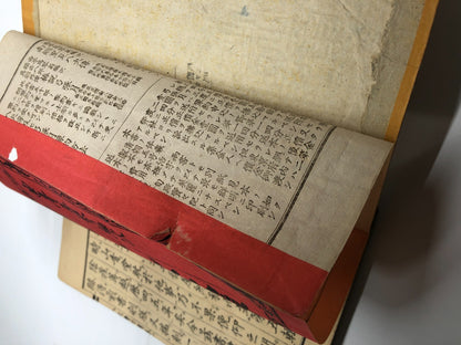 Image #12