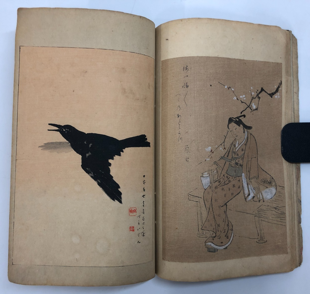 Image #16