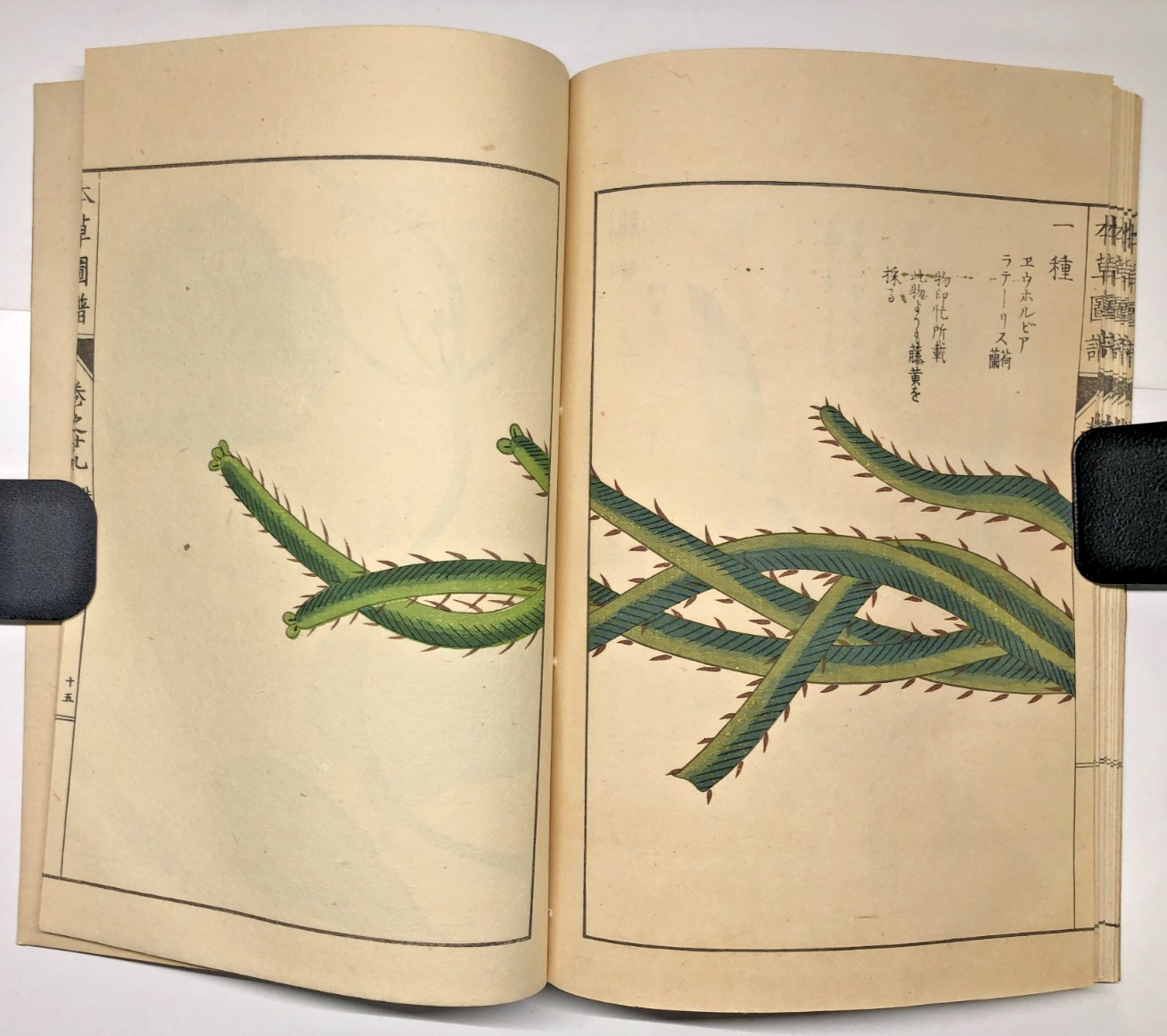 Image #18