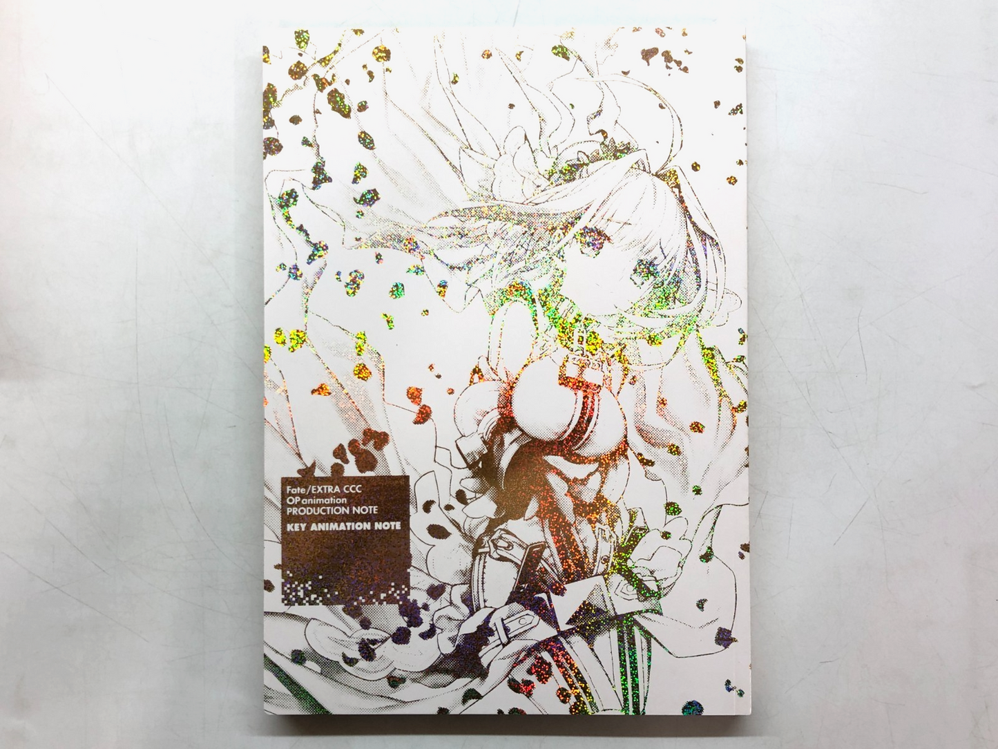 Image #12