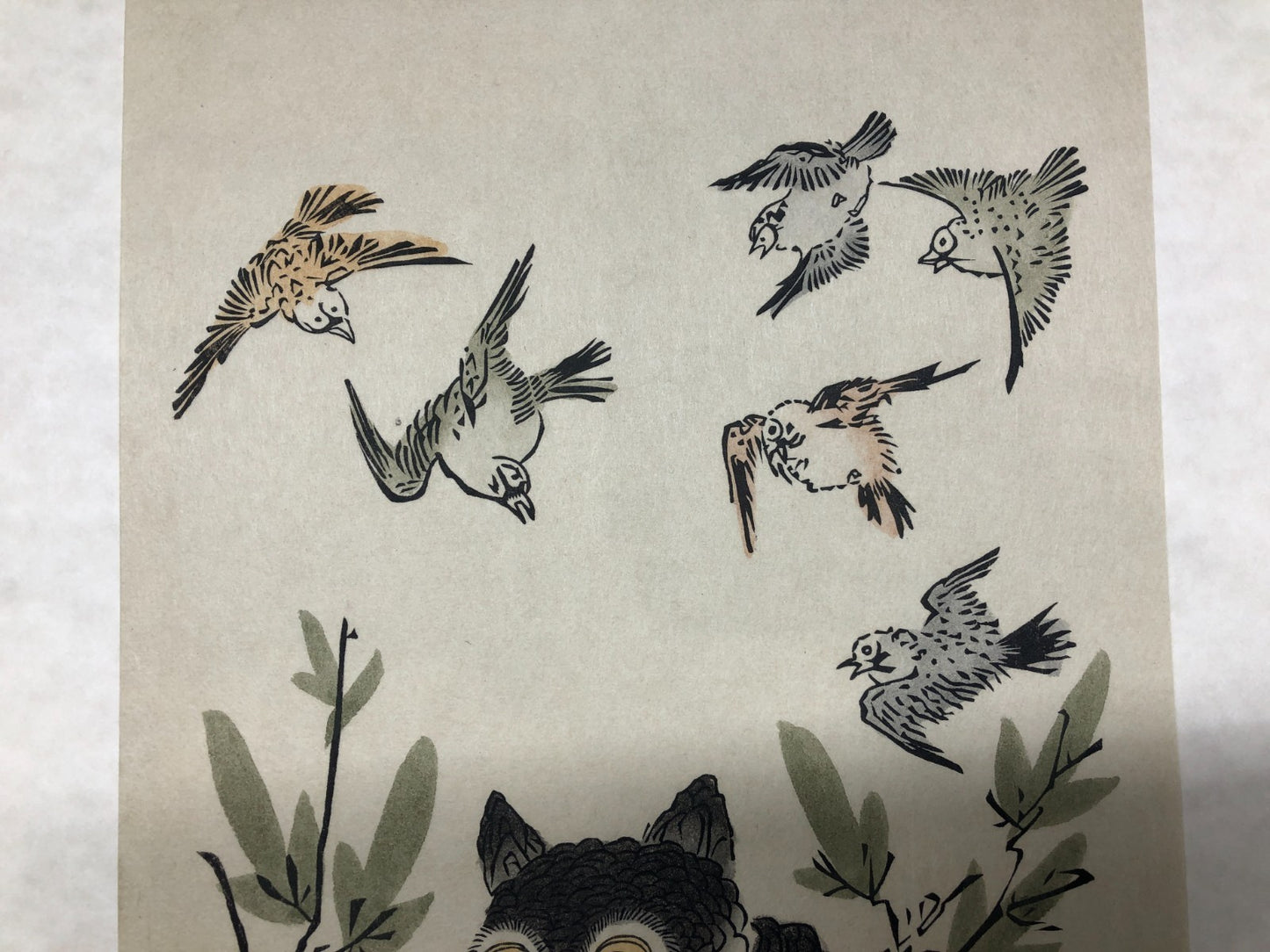 Image #7