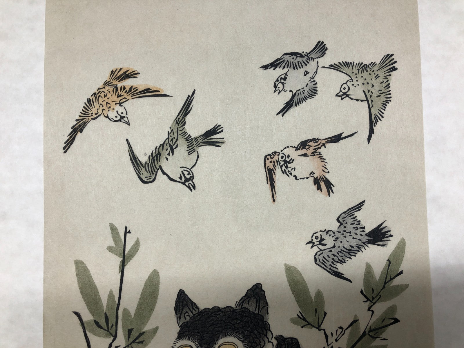 Image #7