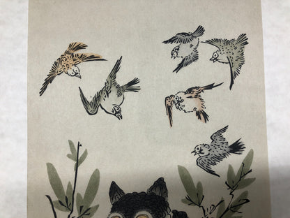 Image #7