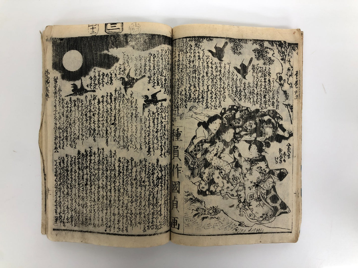 Image #11