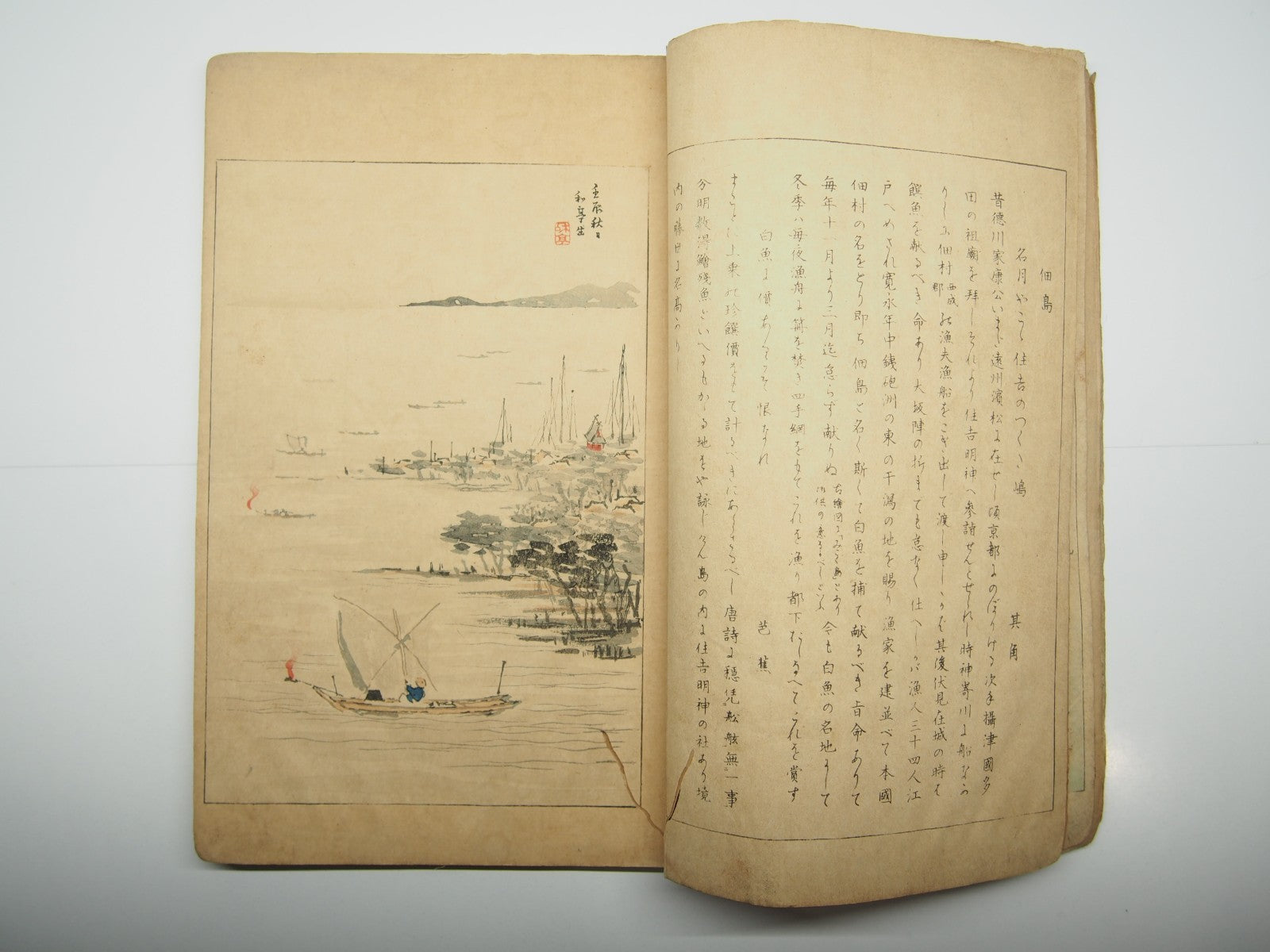 Image #6