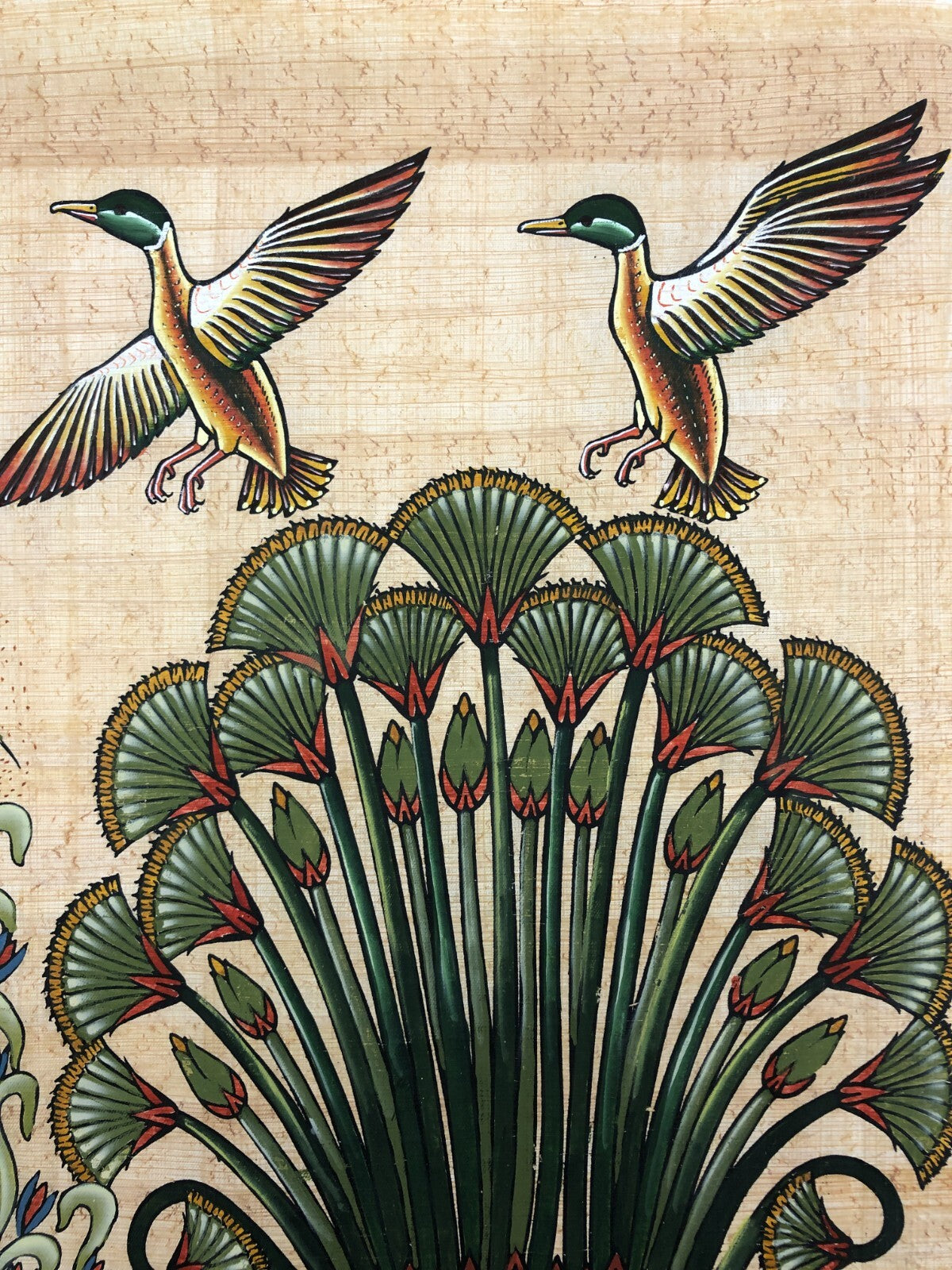 Image #12