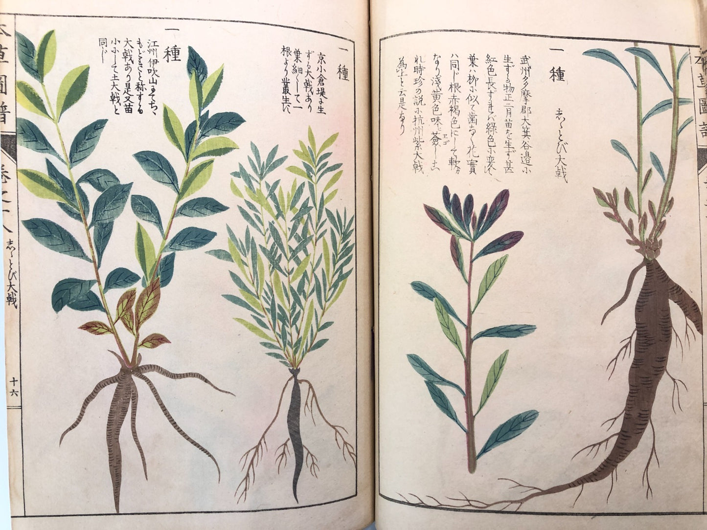 Image #12